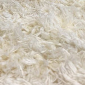 Meet your Posher, Carolina